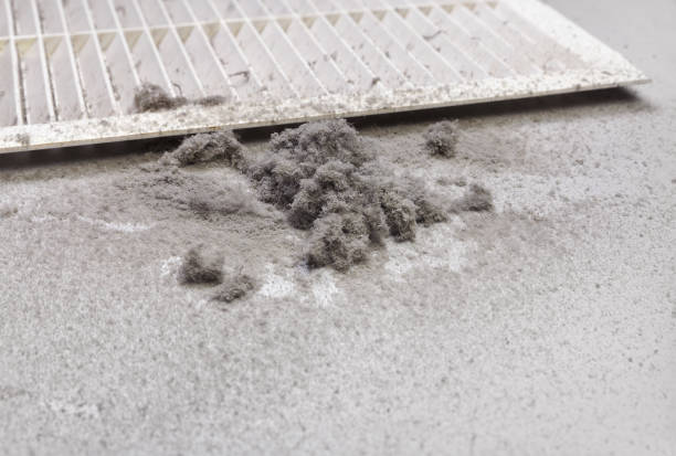 Best Local Air Duct Cleaning Services  in Joseph, OR